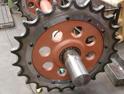 Conveyor Sprocket and Chain