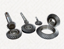 Bevel Gear